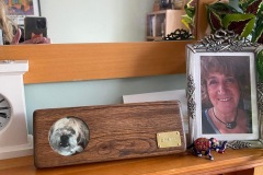 Pet Beds and Memorials